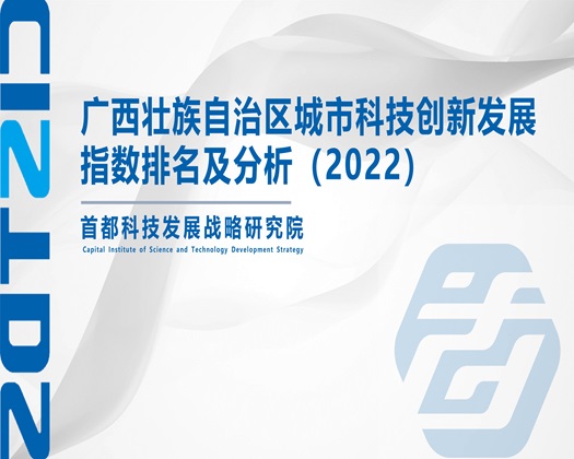 顶级女神蜜汁白虎穴【成果发布】广西壮族自治区城市科技创新发展指数排名及分析（2022）